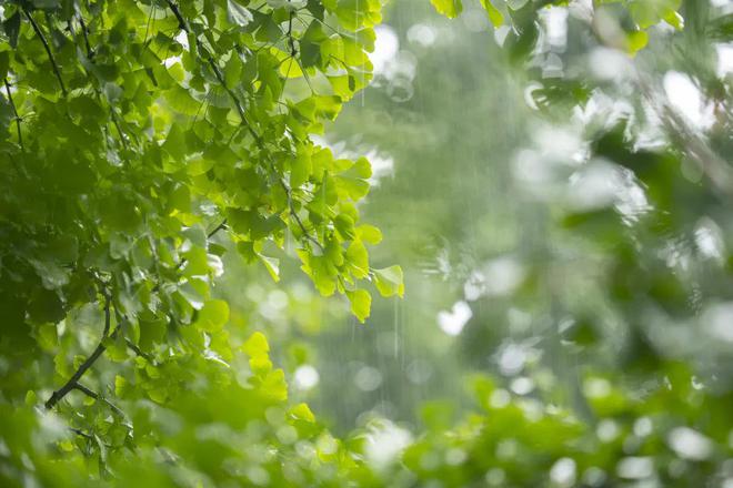 下雨？不下雨？“康妮”路径有变化！本周天气添变数