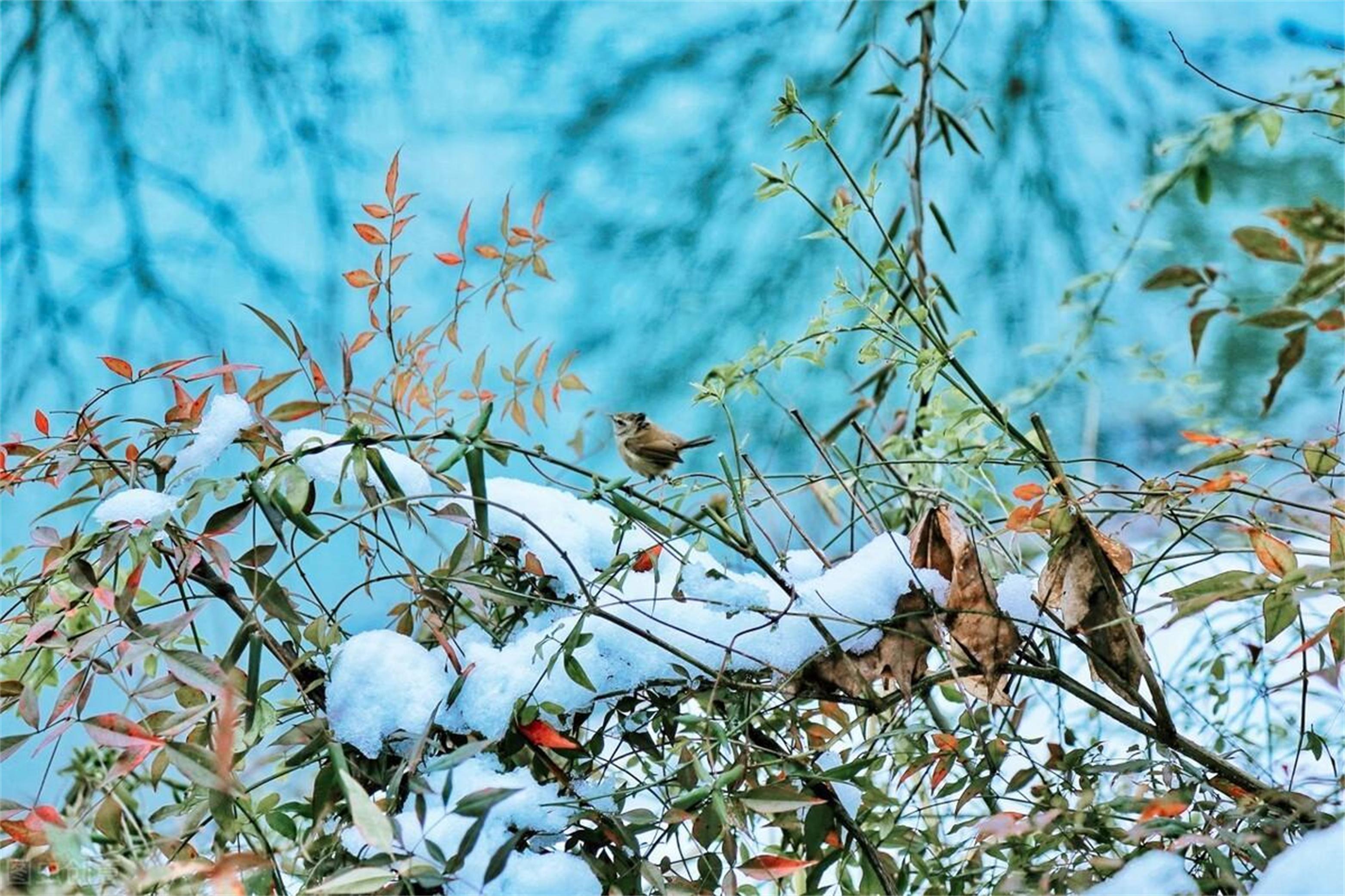 今起，我国将有大范围雨雪天气