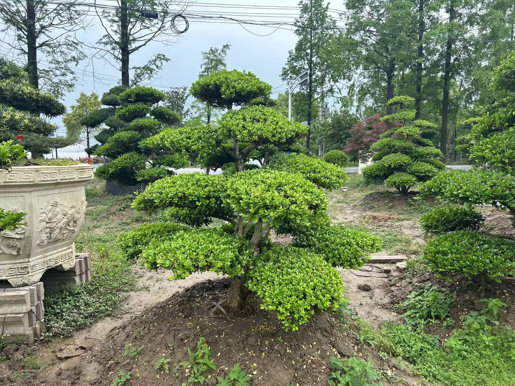 逆流°只是风景 第3页