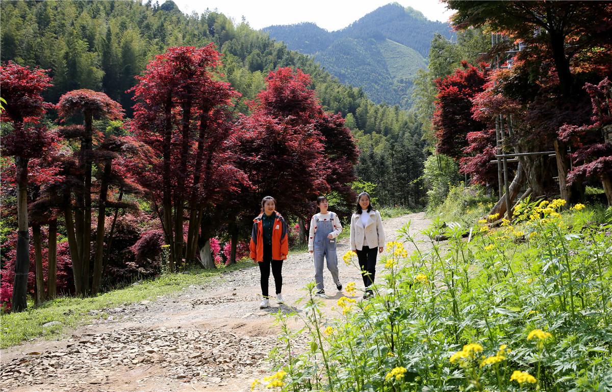 花凋丶为谁祭 第3页