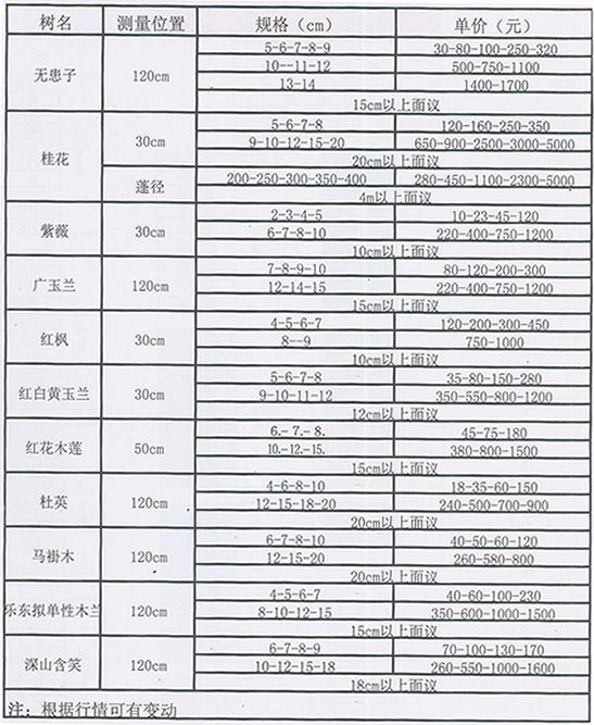 最新苗木价格表全面解析