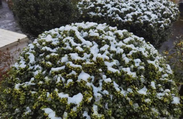 秋冬交替，暴雨与暴雪即将来袭！未来天气盘点与预测