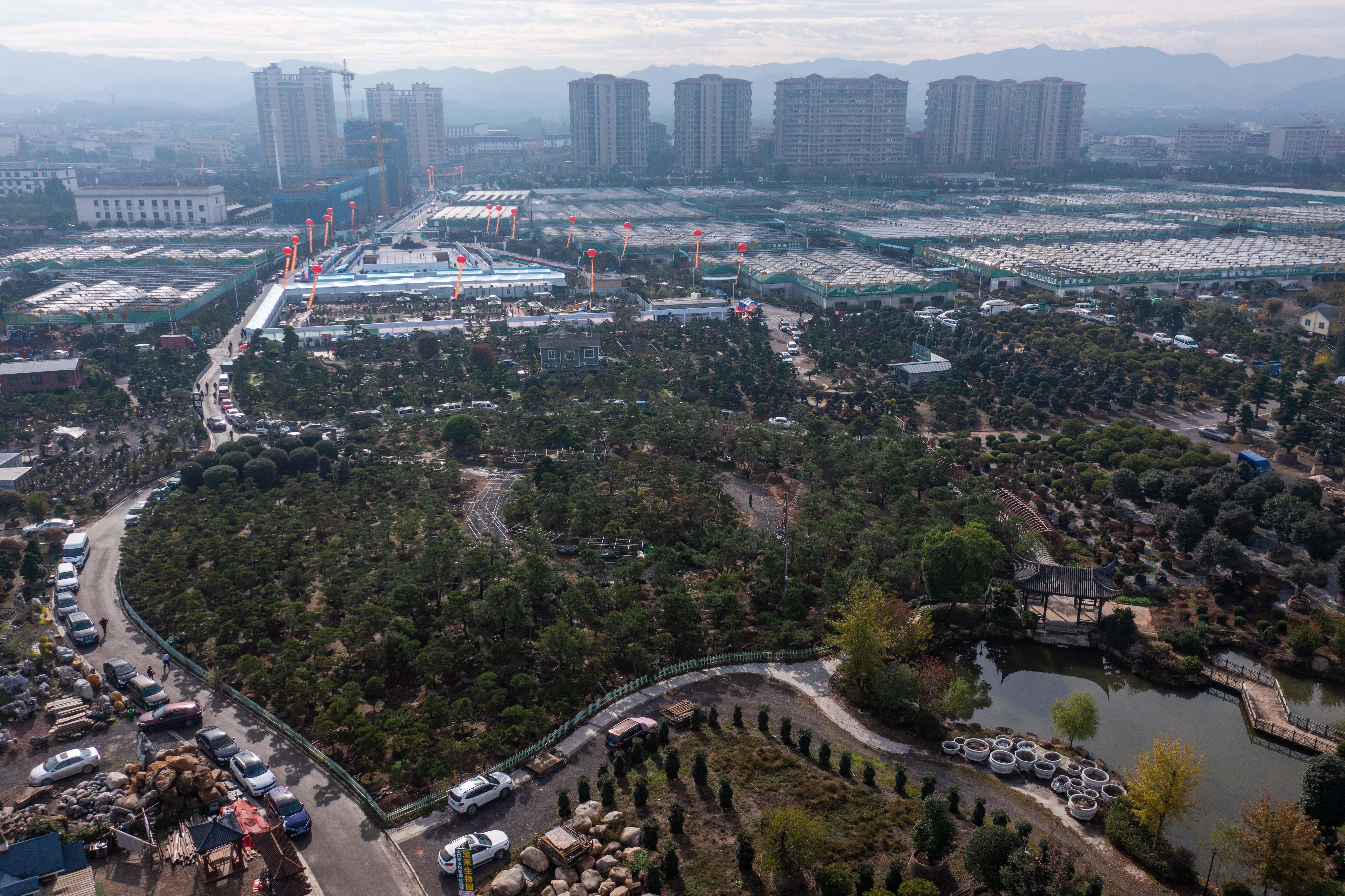 金华四大花卉市场，花卉产业璀璨明珠的繁荣之旅