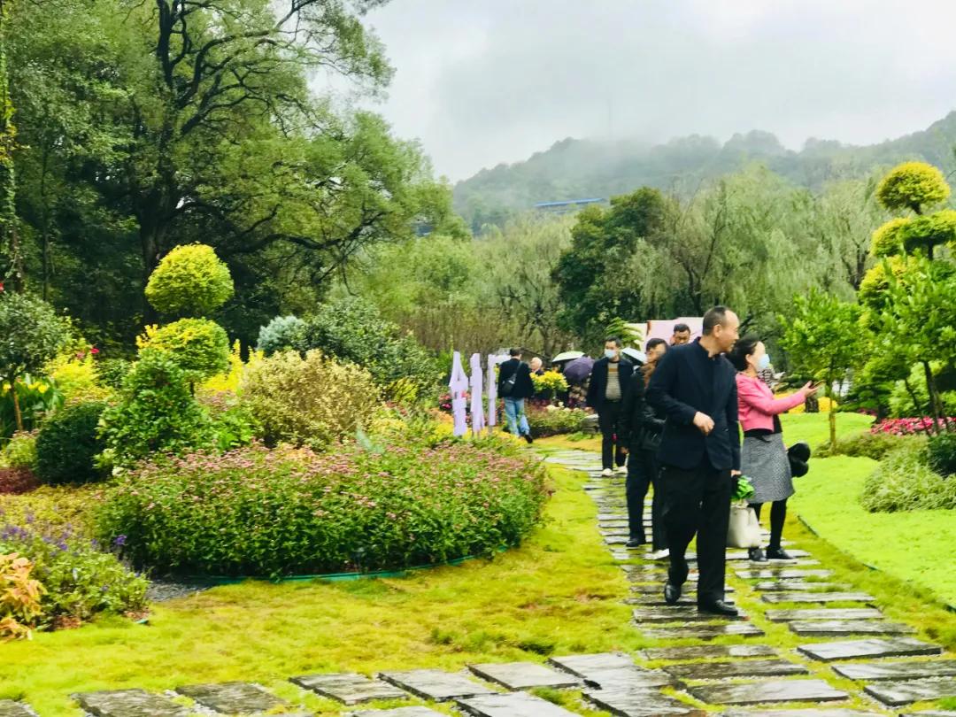 长沙花卉大市场探秘，繁花似锦的多样性与丰富性之旅