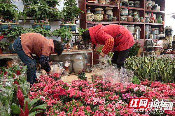 湖南花卉批发市场地址，花卉爱好者的天堂胜地