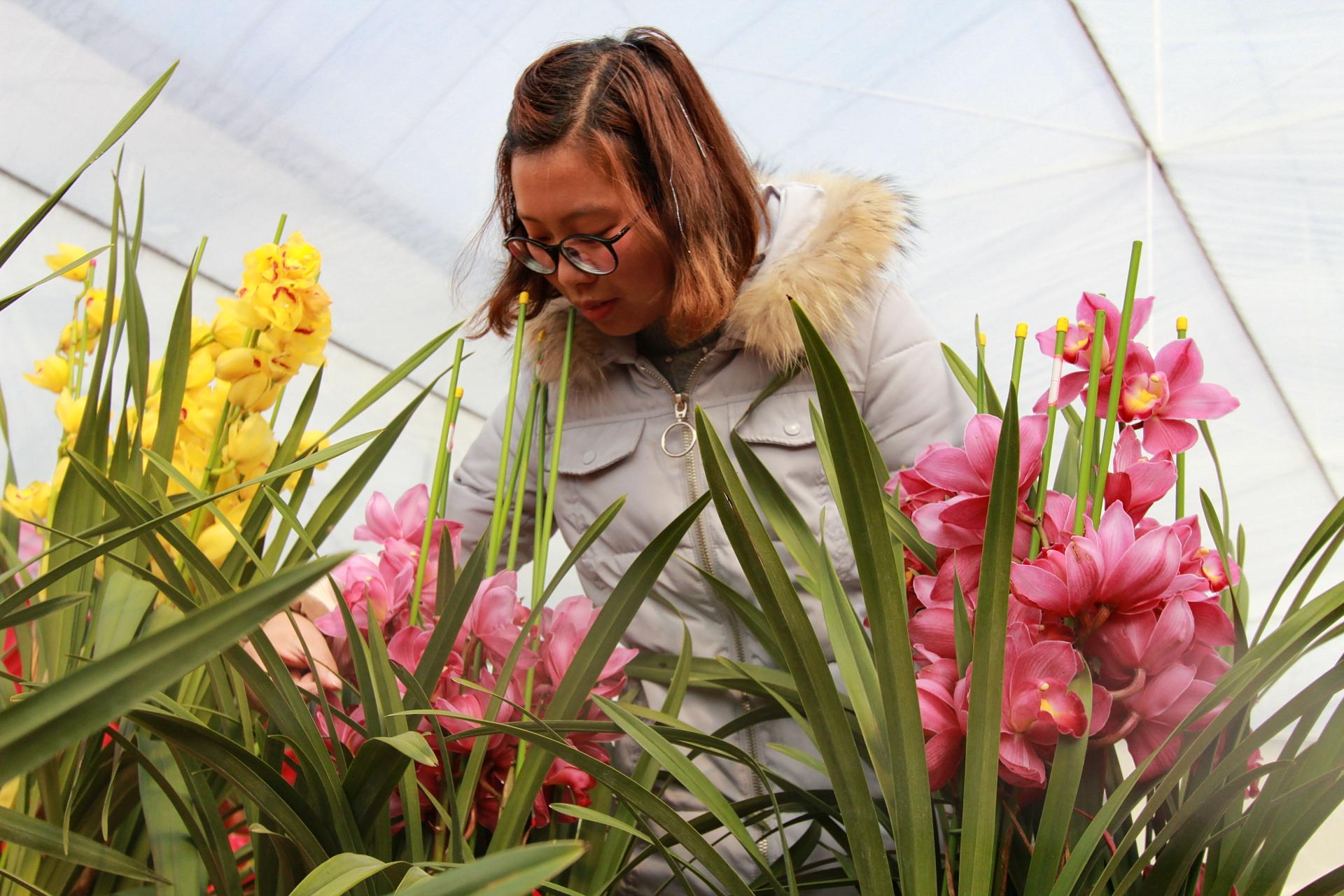 芜湖花木市场，地理位置与产业重要性探究