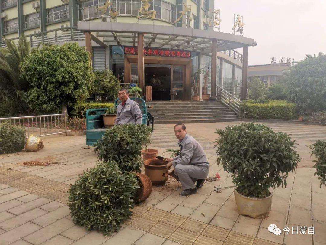 湖北绿植种植指南，哪些植物适合在湖北养殖？