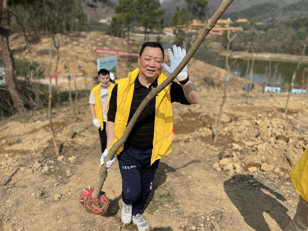 湖北树苗基地，绿色发展的领跑者