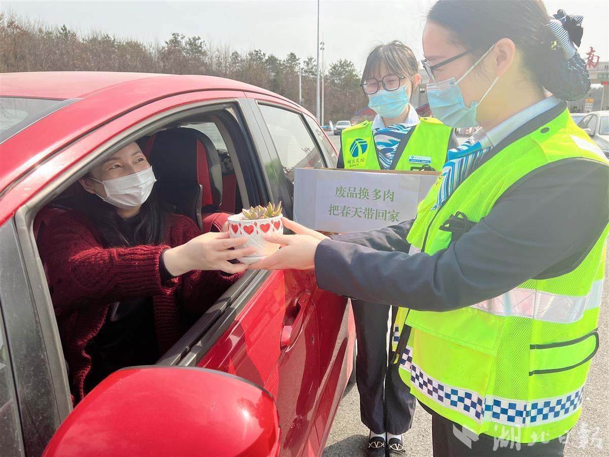 湖北绿植批发市场，生态繁荣与商业机遇的交汇点