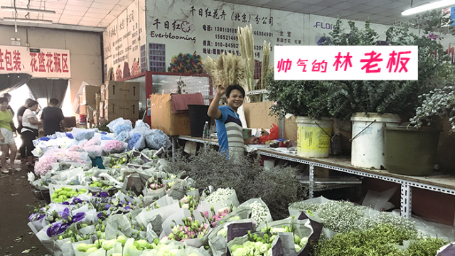 广州最便宜的花卉市场，繁花似锦的省钱探秘之旅