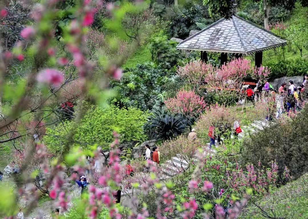 广东花卉批发基地，繁荣的花园经济动脉