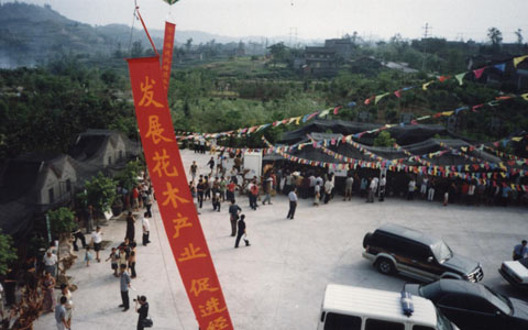 重庆苗木批发市场蓬勃发展繁荣景象