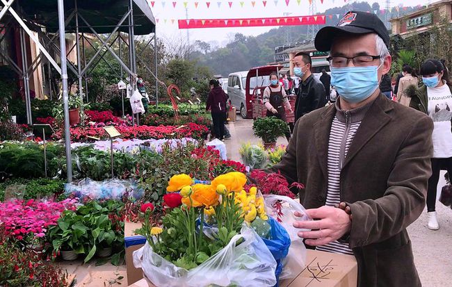 重庆江津苗圃市场，生态繁荣与产业融合发展的前沿探索