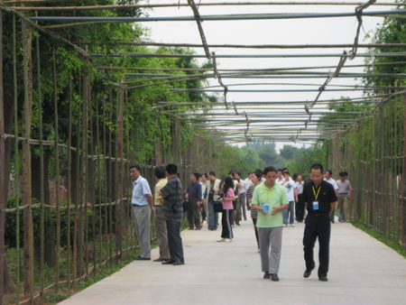 许昌市鄢陵县苗木基地，绿色发展的明珠