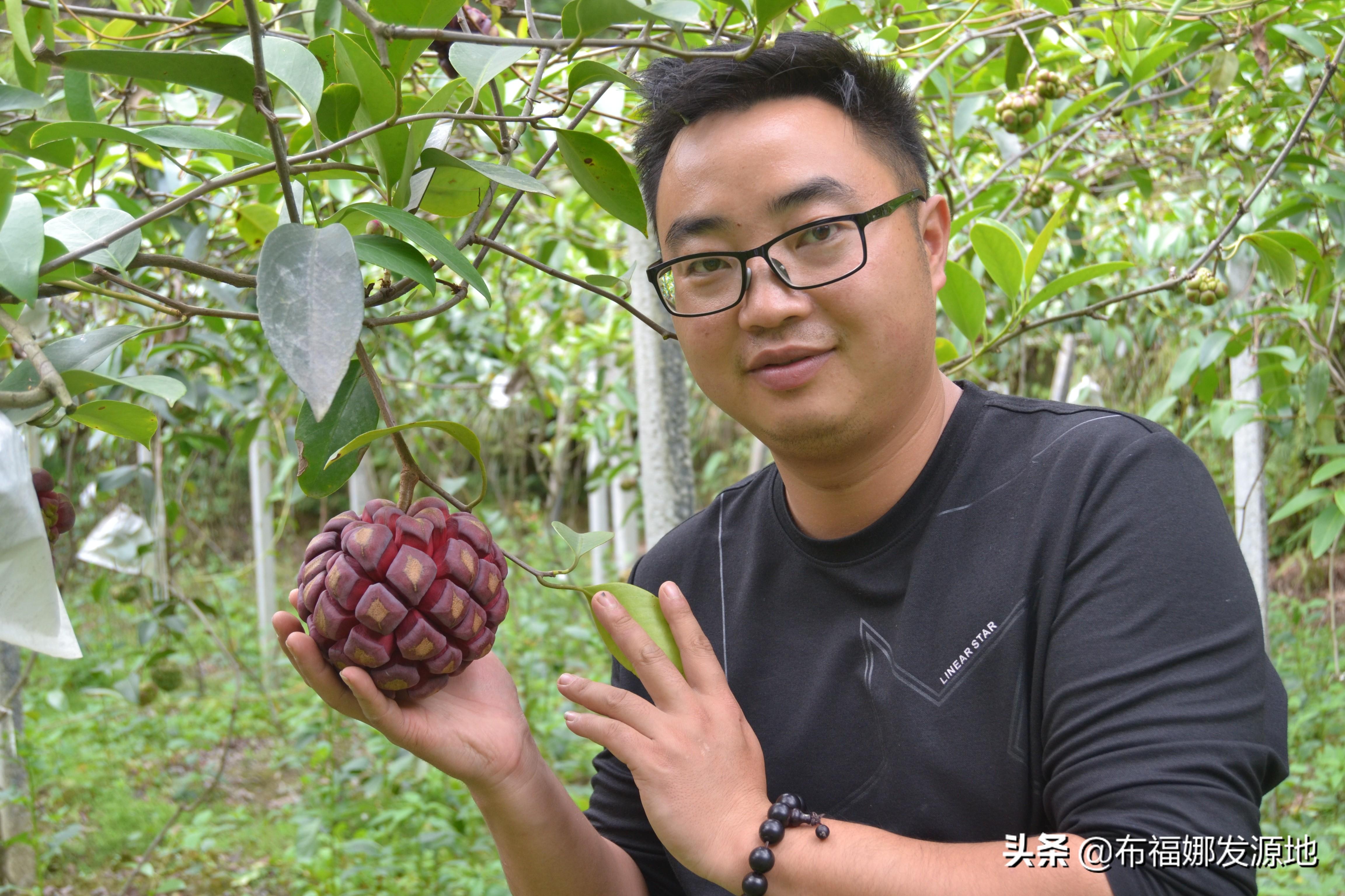 贵州绿化博览园，自然与人文的绚丽交汇