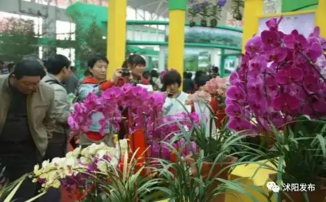 贵州苗木花卉批发市场蓬勃发展繁荣景象