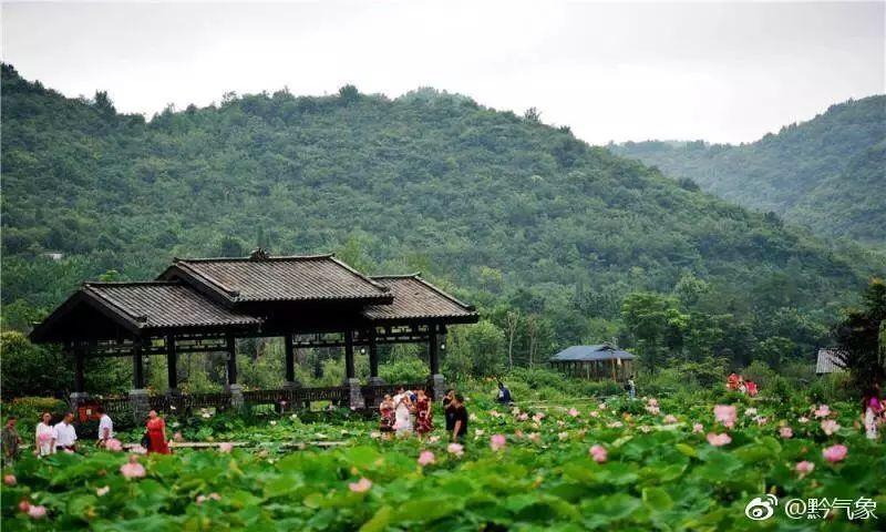 贵阳花卉基地，探寻绿色宝藏之旅