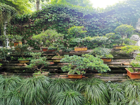 贵阳花园绿植，城市中的绿色呼吸胜地