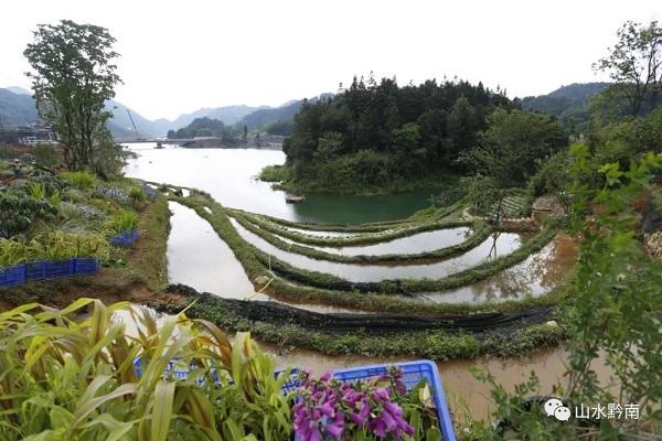 贵州花卉种植基地联系信息，连接美丽与繁荣的桥梁