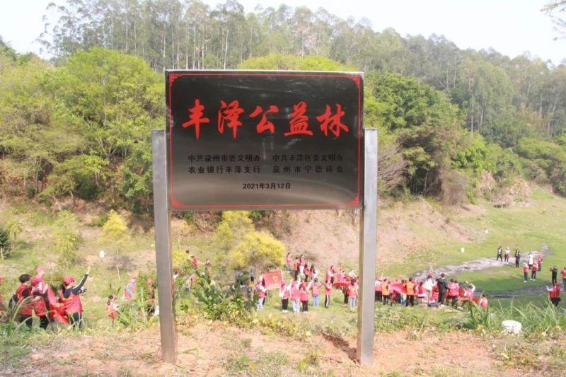 福建泉州树苗批发市场，绿意繁荣之源