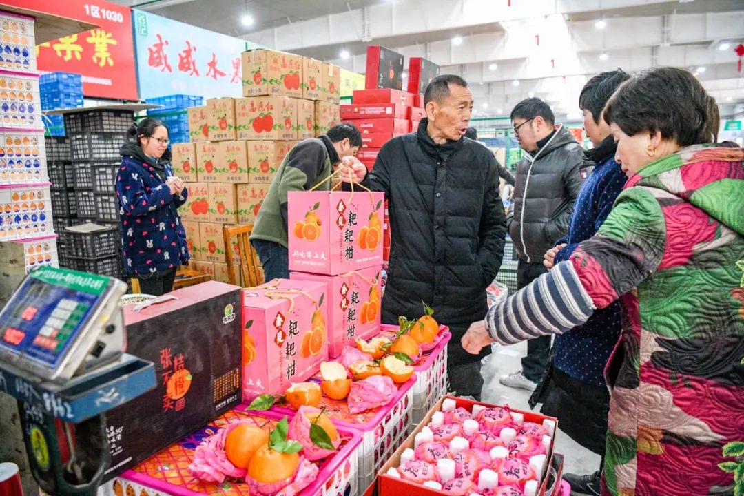 宁波最大绿植批发市场，生态繁荣与无限商机