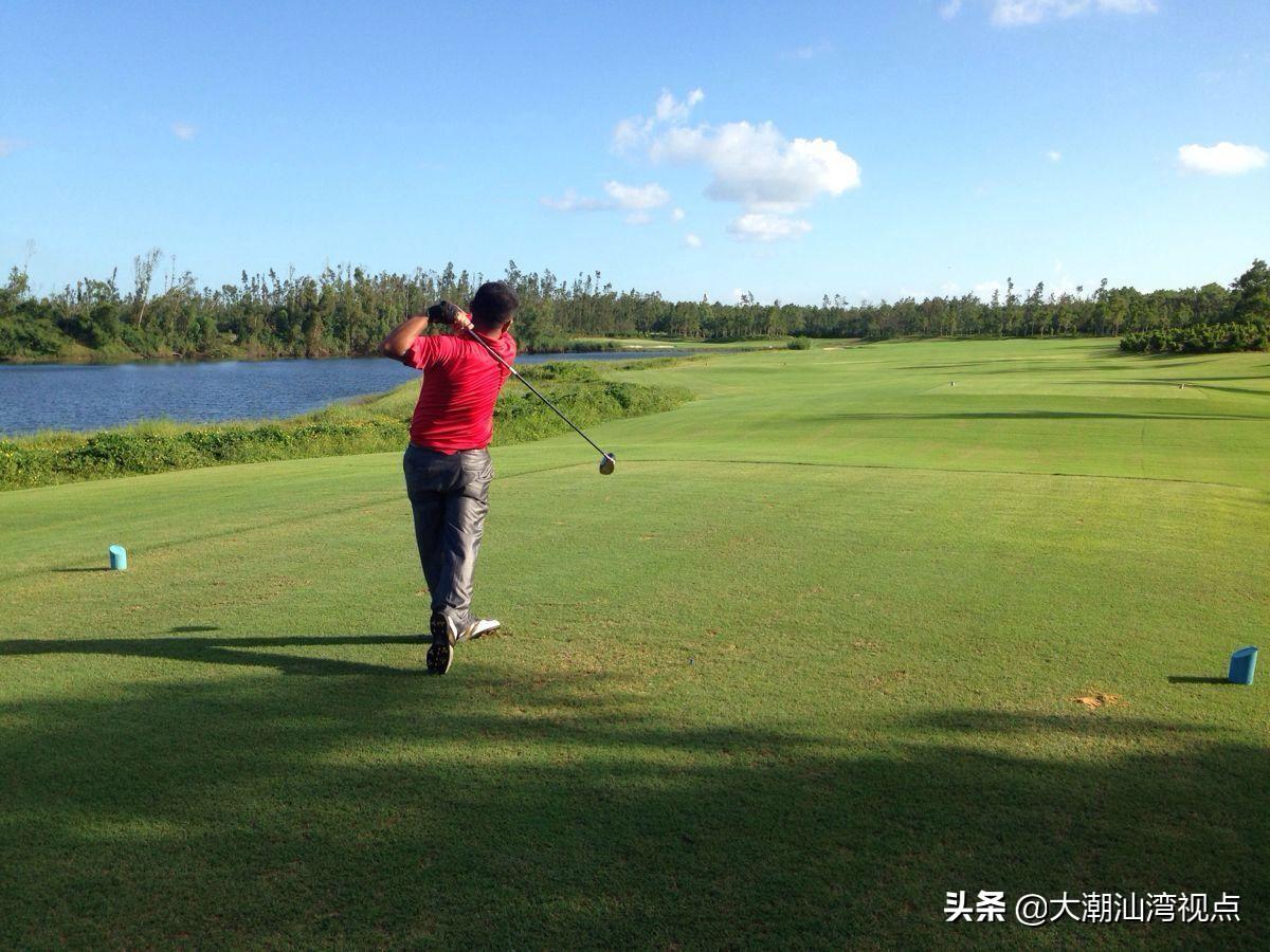 广西椰树基地的由来与历史背景探秘