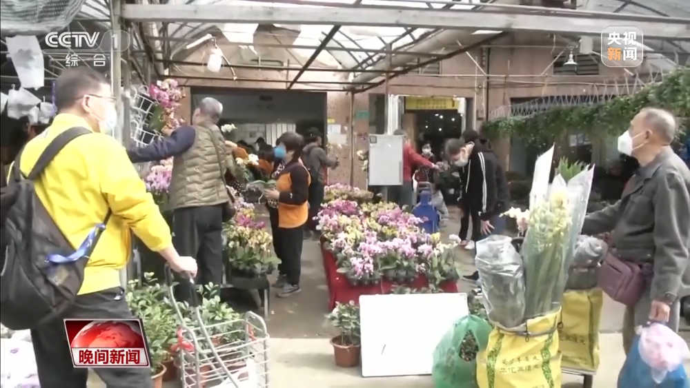 邯郸市花卉批发市场深度探秘