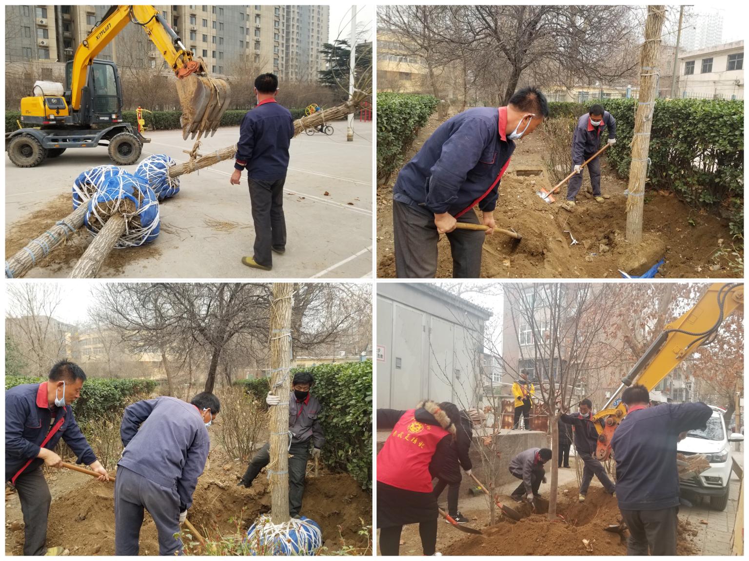 邯郸便宜花卉批发地点探秘，全方位解读花卉批发市场