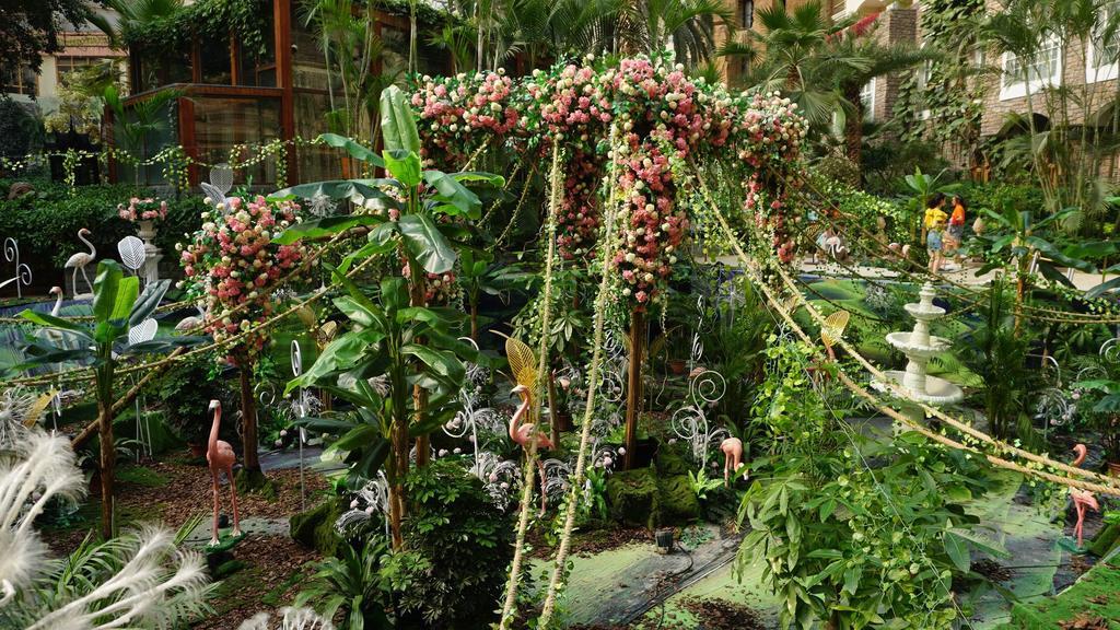 上海庭院植物种类选择与种植建议