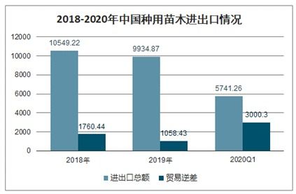 中国苗木网市场行情全面解析