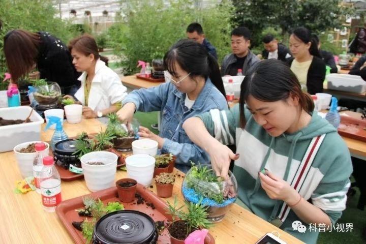 北京市国有苗圃概览与特色解析