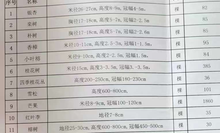 苗木报价单格式范本详解及其使用指南