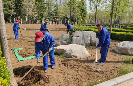 公园绿化树木品种大全与图片详解