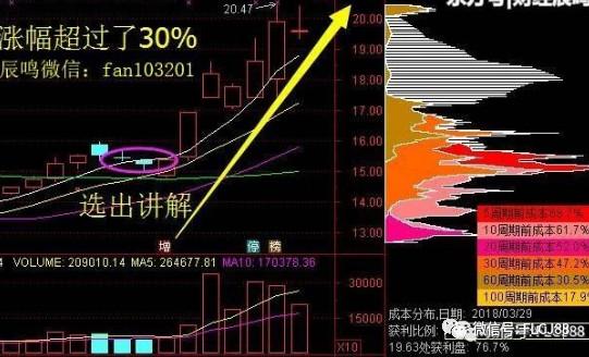 机构与散户股票交易策略的深度差异解析