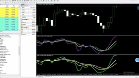 外汇指标设置技巧，提升交易效率的关键步骤解析