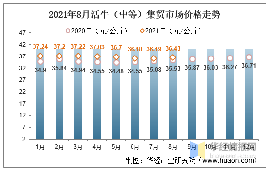 XXXX年牛市场趋势展望与行情分析