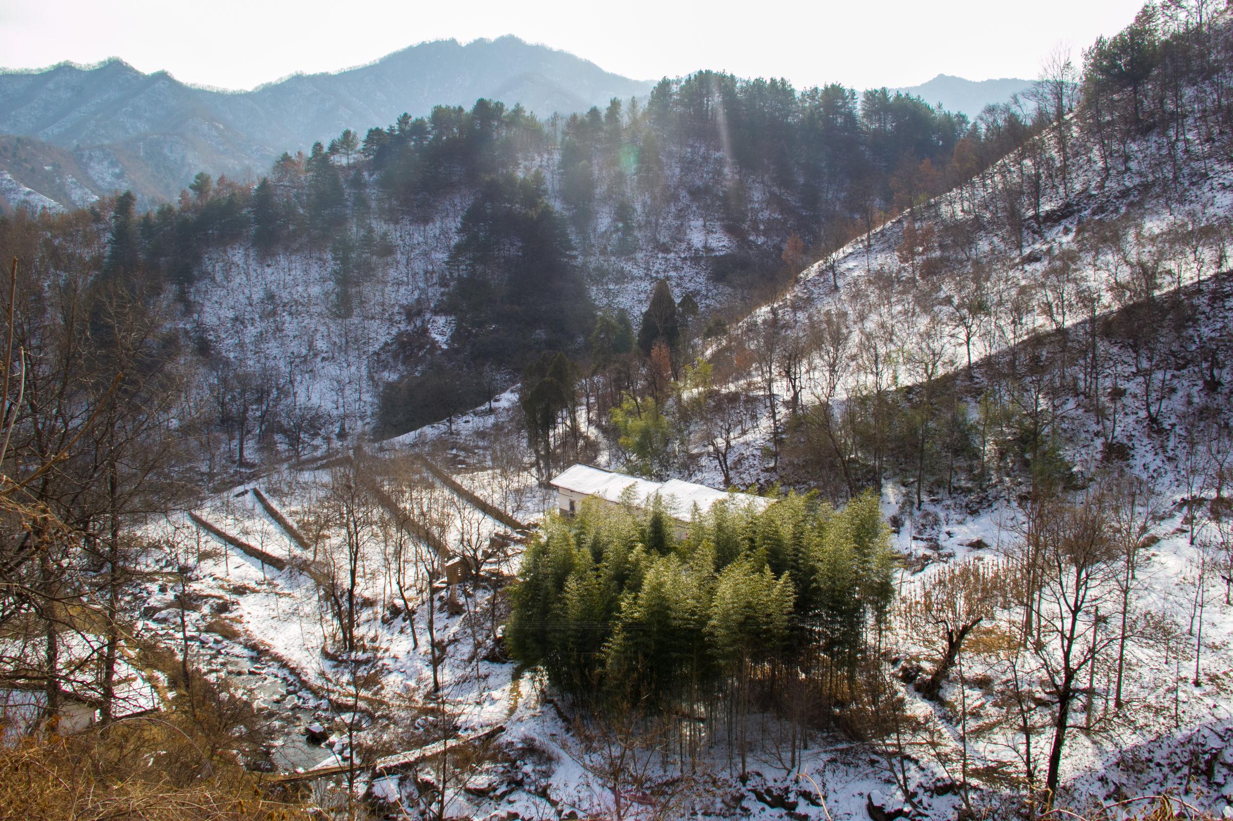 可爱雪，冬天的诗意精灵