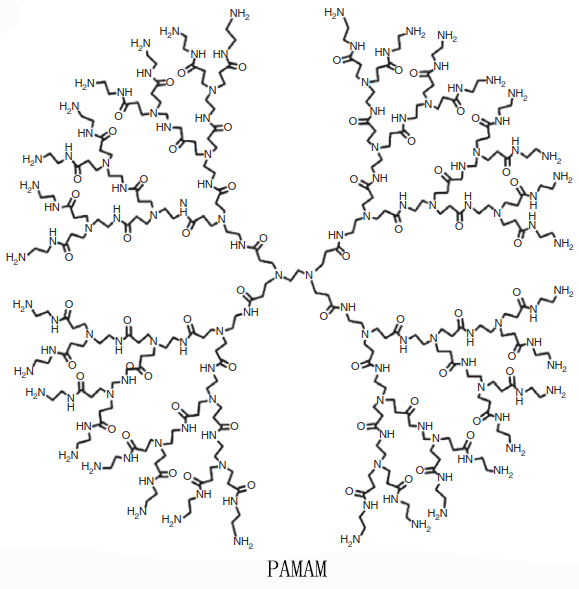 树枝状大分子的独特性质及广阔应用前景探索