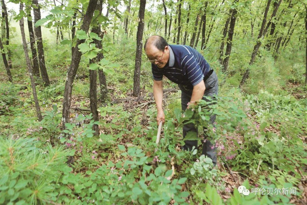 莫力达瓦达斡尔族自治旗，历史与现代融合典范