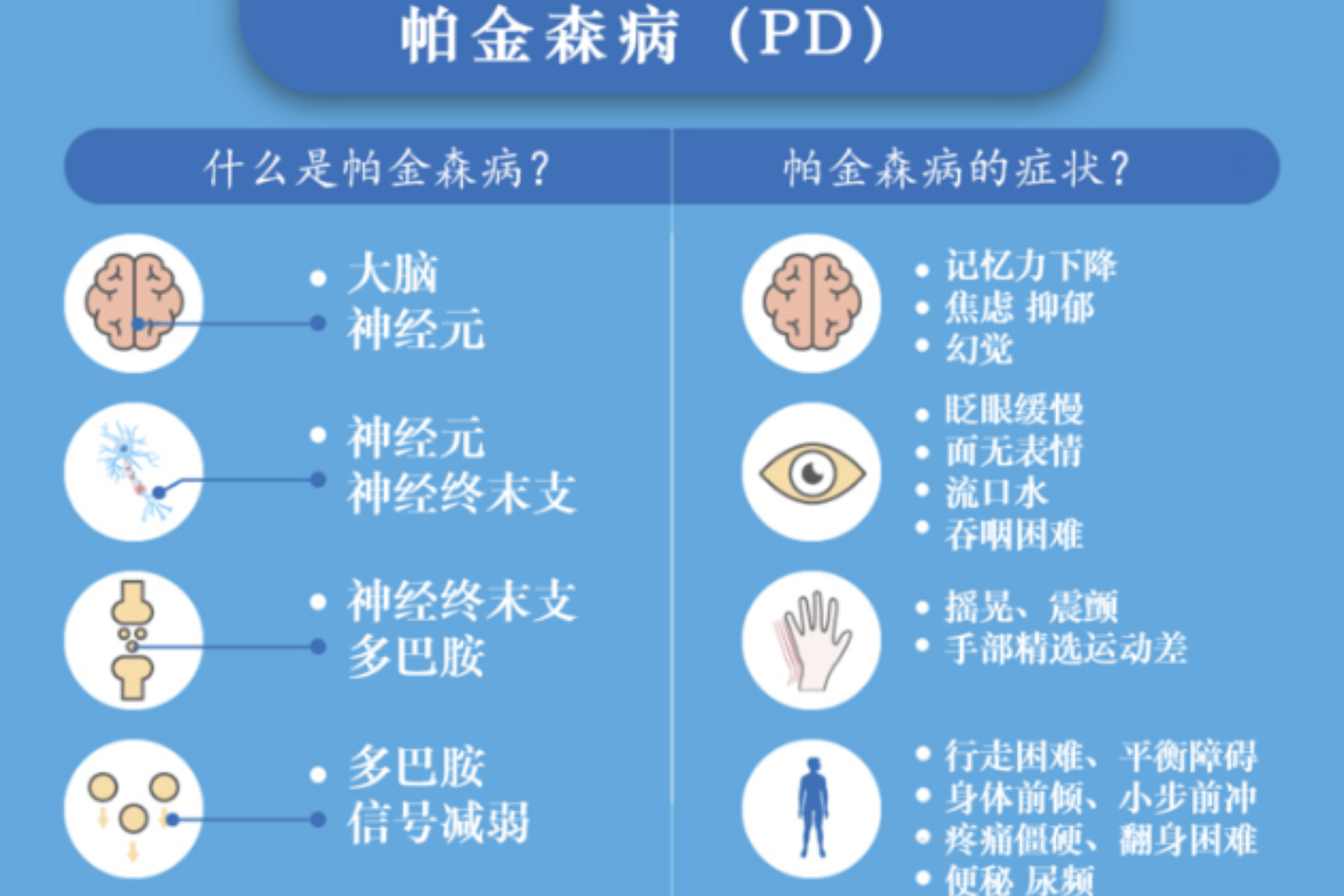 帕金，科学家与探险家的传奇人生之旅