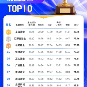 中国公募基金排名前50深度剖析与洞察