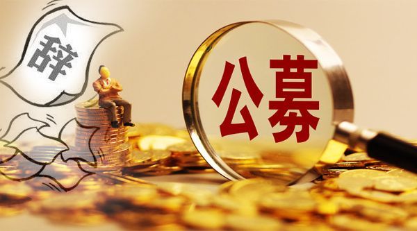 私有公募基金，资本市场的新篇章探索