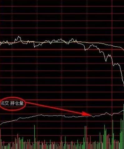 持仓量指标CJL详解，含义、应用及重要性