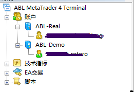 外汇风险的规避与管理策略