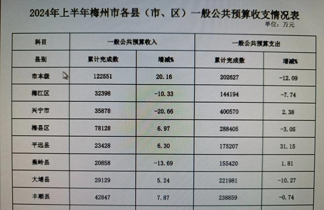 中国内部环境挑战与未来展望，2024年视角分析