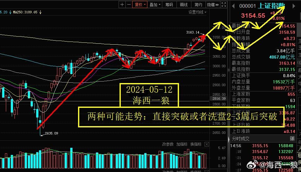 海西一狼视角，今日股市深度解析