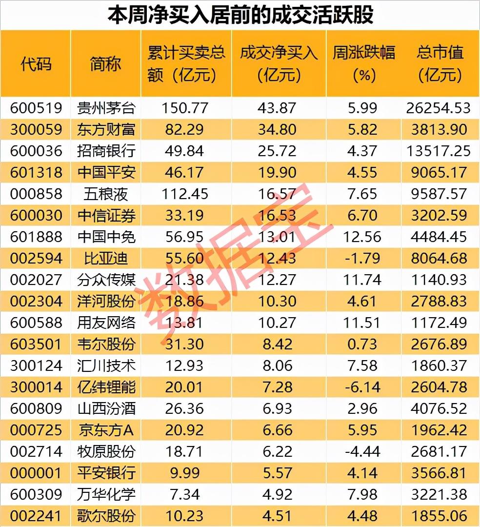 蓝筹龙头个股，市场引领者的投资策略解析