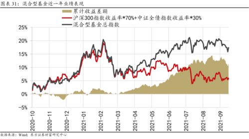 股票型基金的特点与投资策略解析