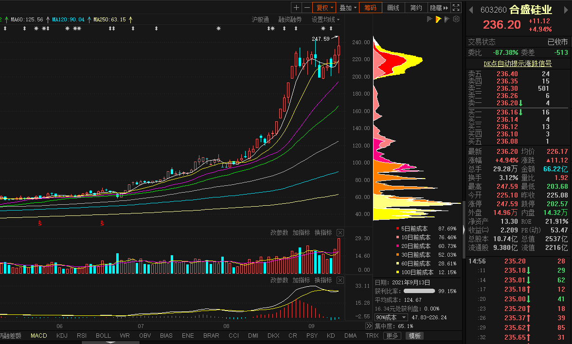 有色金属行业巨头解析，十大龙头股的崛起之路探索