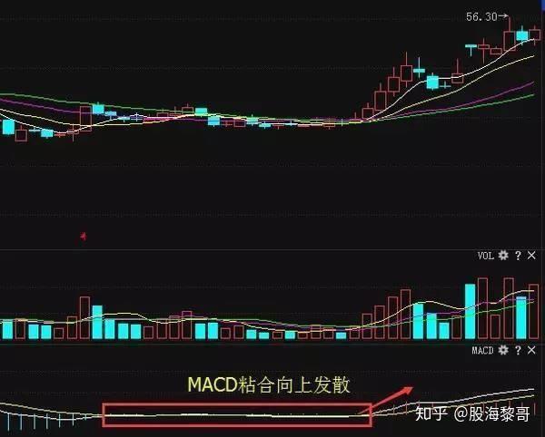 股票投资的策略、分析与风险管理，走向成功的投资之路